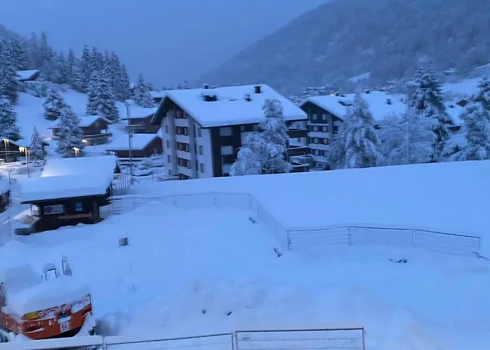 Everest * Morgins
